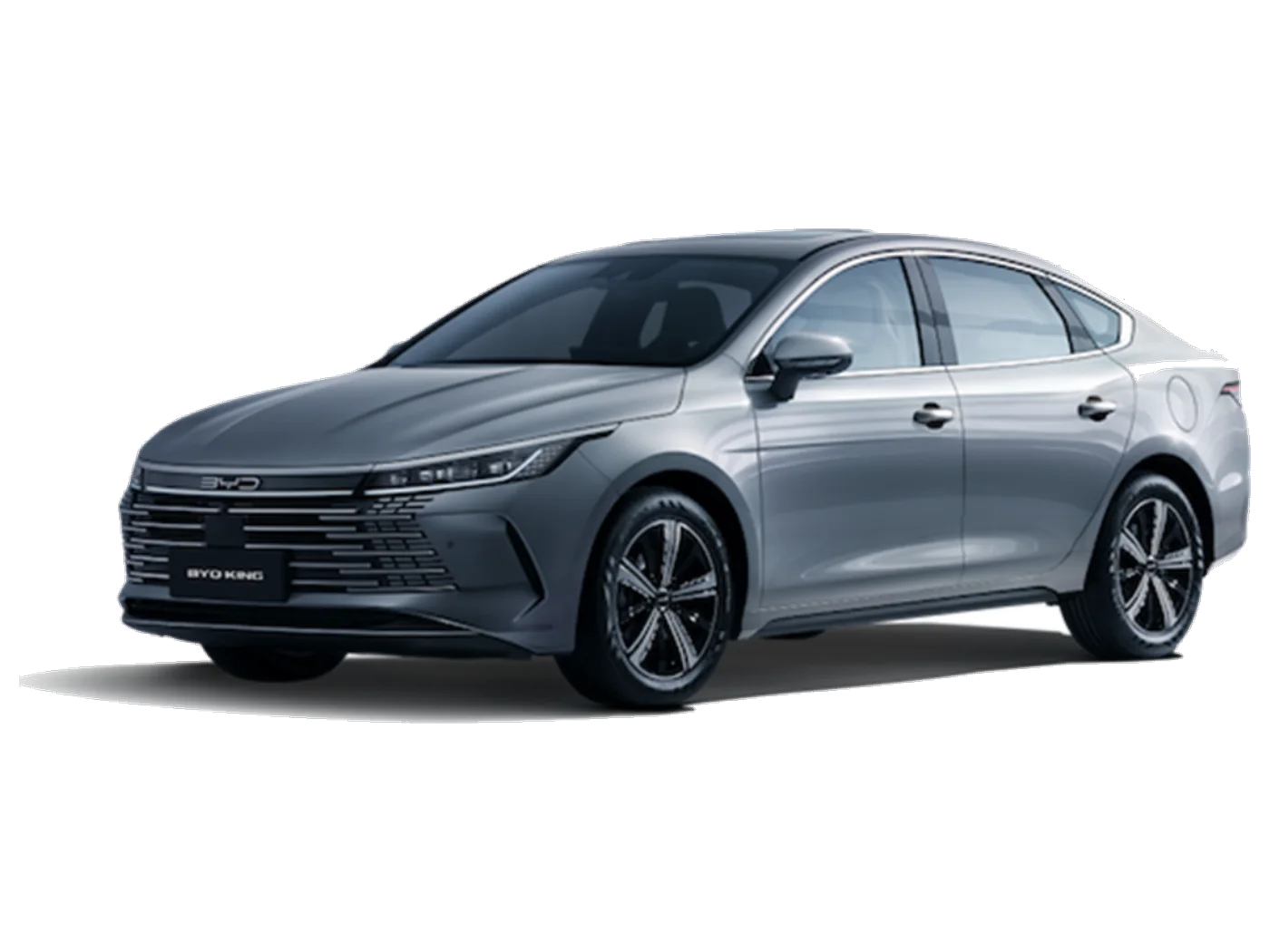 BYD King en Tampico